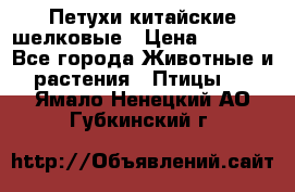 Петухи китайские шелковые › Цена ­ 1 000 - Все города Животные и растения » Птицы   . Ямало-Ненецкий АО,Губкинский г.